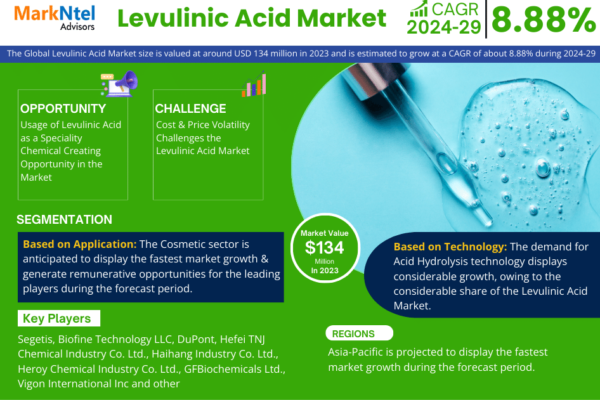 Levulinic Acid Market