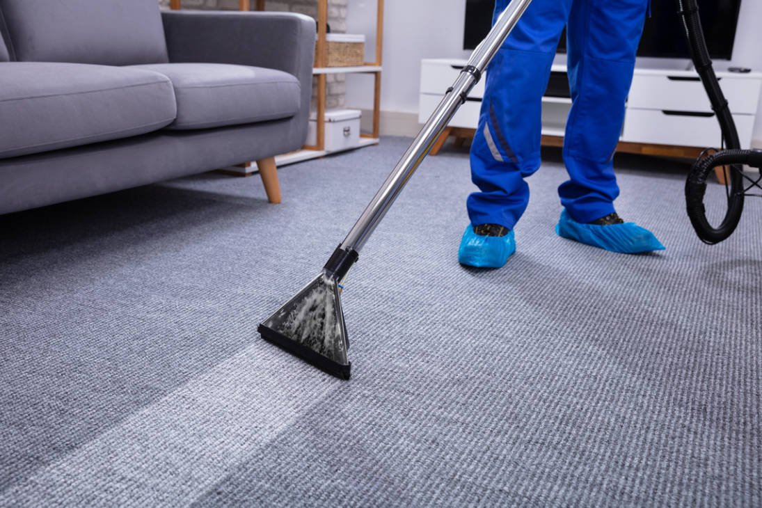 How to Maintain Your Carpets Between Professional Cleanings