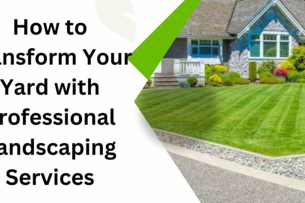 How to Transform Your Yard with Professional Landscaping Services