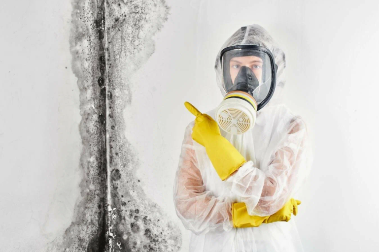 Mold Remediation Services