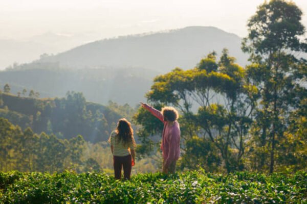 Places Visit in Sri Lanka