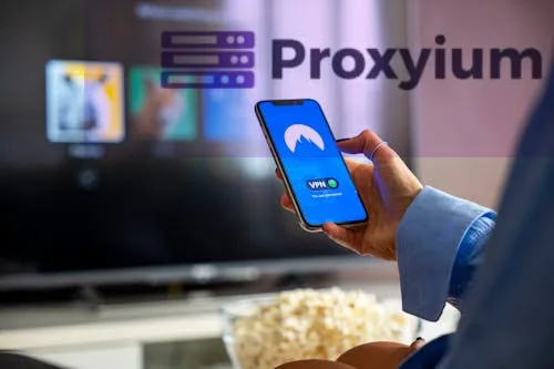 Everything You Need to Know About Proxiyum.org