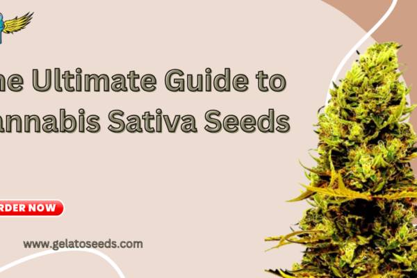 cannabis sativa seeds