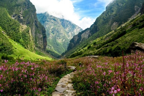 Valley Of Flowers Trek