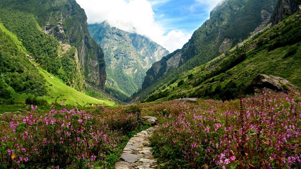 Valley Of Flowers Trek