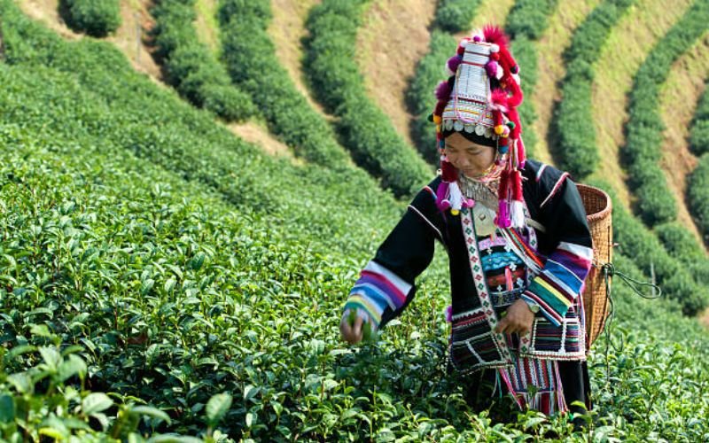 Thailand’s Hill Tribes