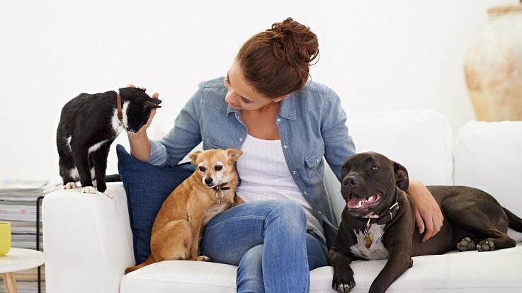 pet sitting services in Los Angeles CA