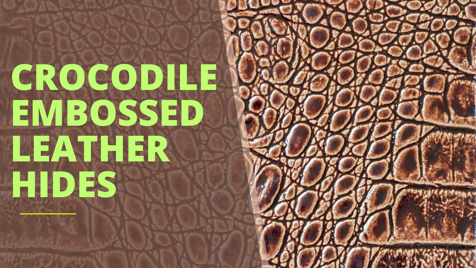 crocodile embossed