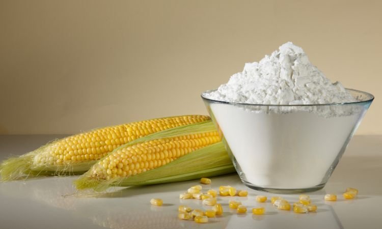 Corn Starch Market