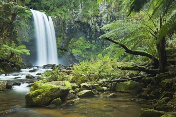 Natural Highlights of Australia