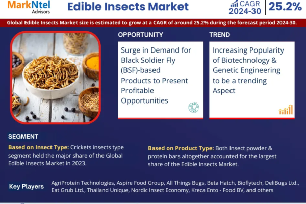 Edible Insects Market