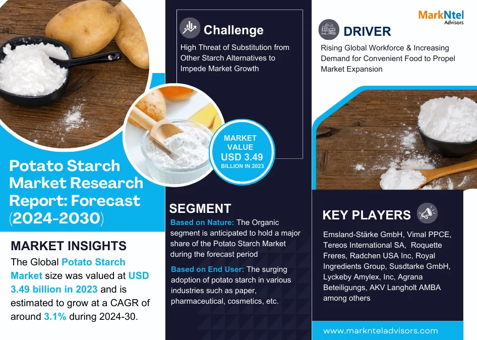 Potato Starch Market