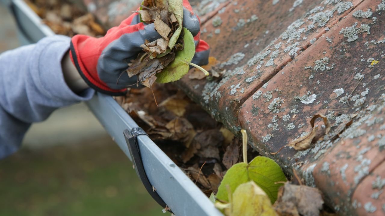 Gutter Cleaning Service in Brooklyn