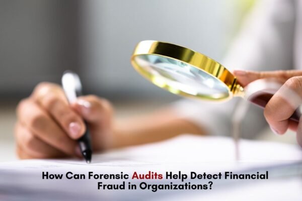 Forensic Audits