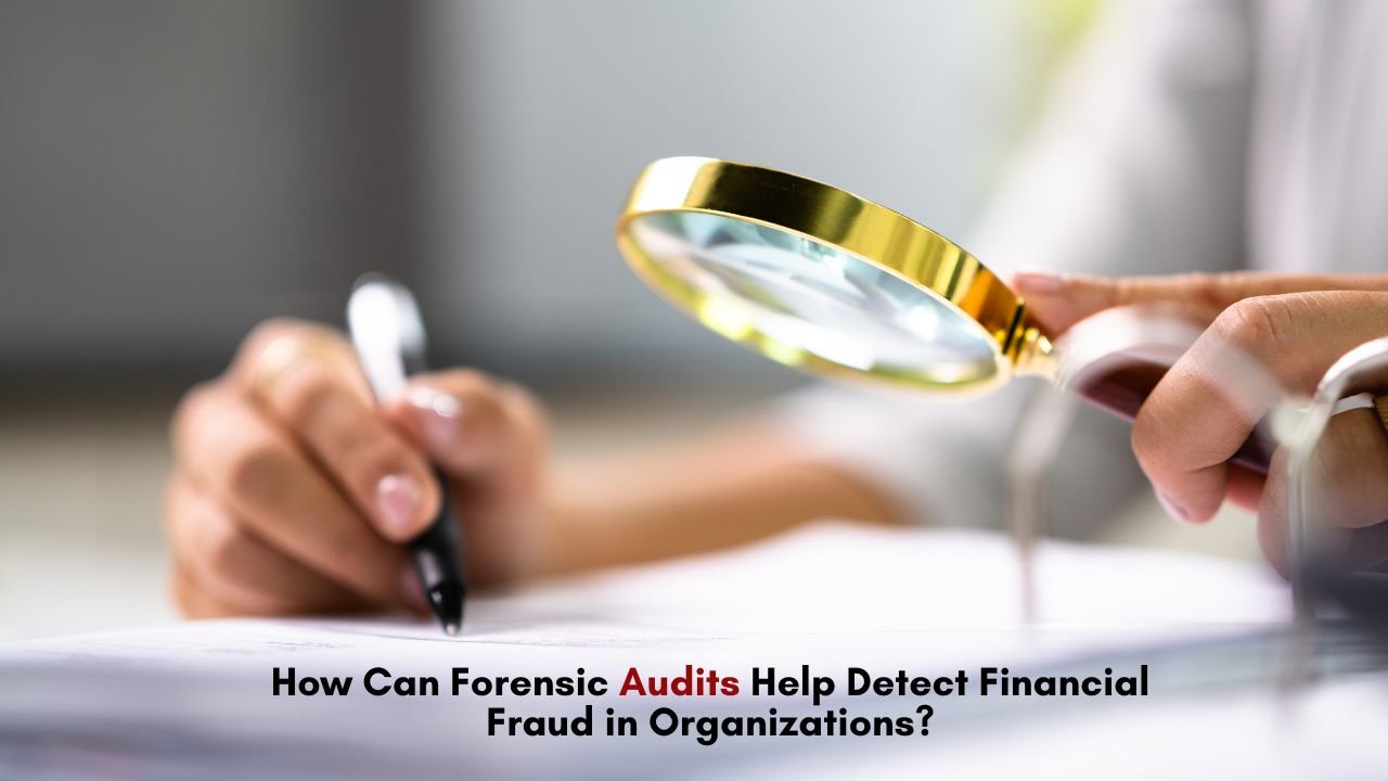 Forensic Audits