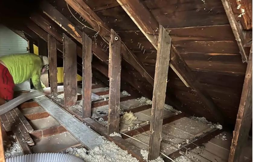 Old Insulation Removal