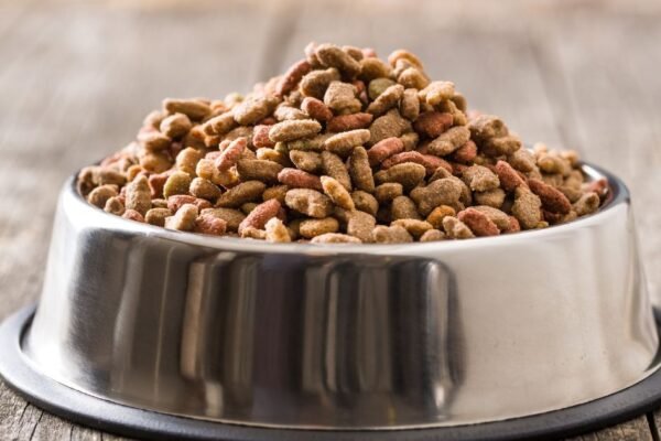 Mercado-de-Alimentos-para-Perros