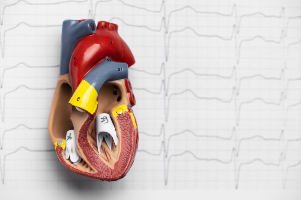 RamaHospital-Valvular Heart Disease Understanding the Condition and Treatment-Artcile