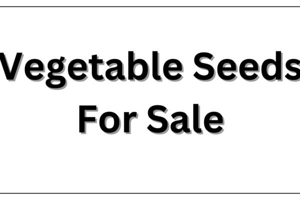 vegetable seeds for sale