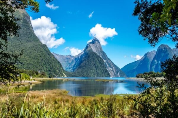 Trips in New Zealand