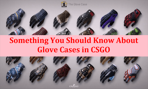 Glove Cases