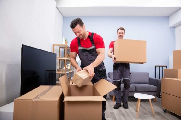 professional movers