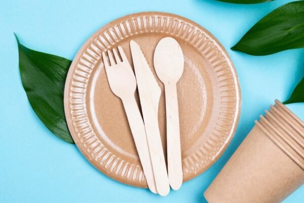 Bagasse Based Biodegradable Cutlery Manufacturing Plant