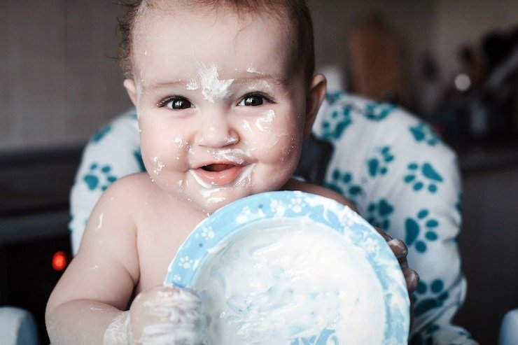 Best Milk Powder For Baby 0-6 Months