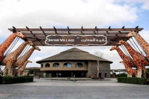 Activities at Dubai Safari Park