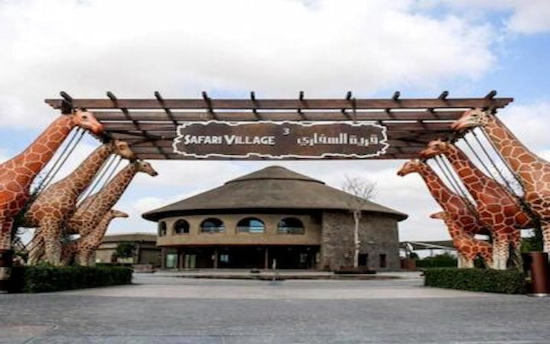 Activities at Dubai Safari Park