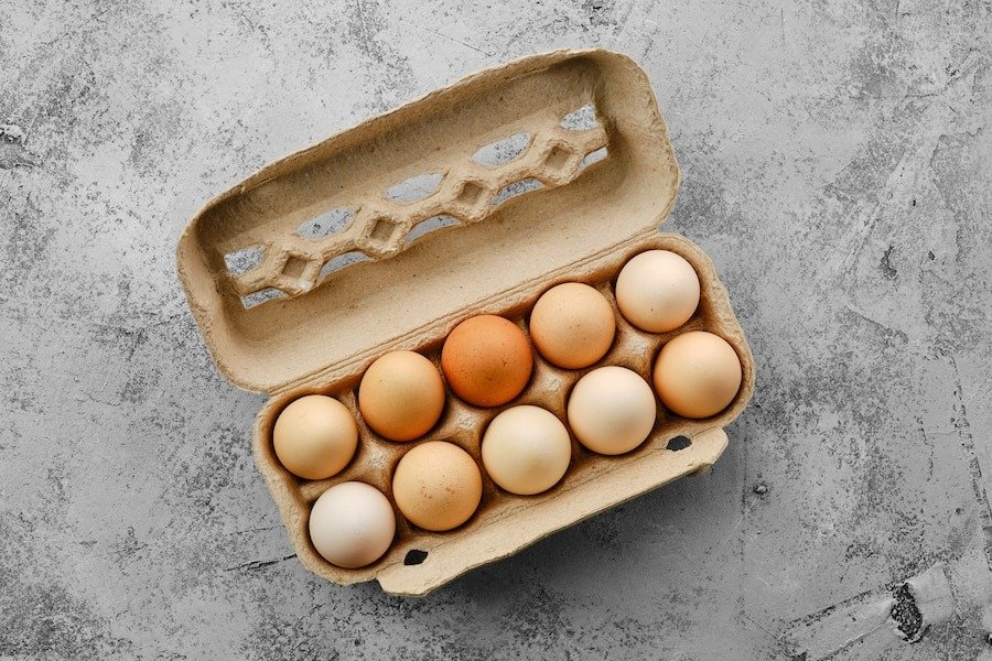 Egg Tray Manufacturing Plant