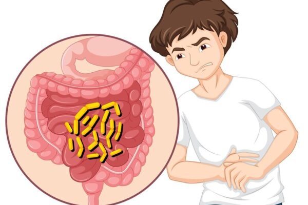 Fenbendazole Effective of Intestinal Parasites