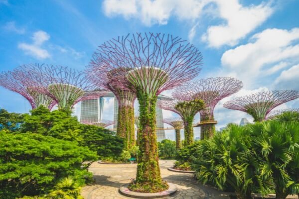 top Attractions in Singapore