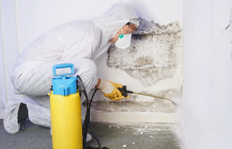 5 Common Mistakes People Make During Mold Remediation and How to Avoid Them