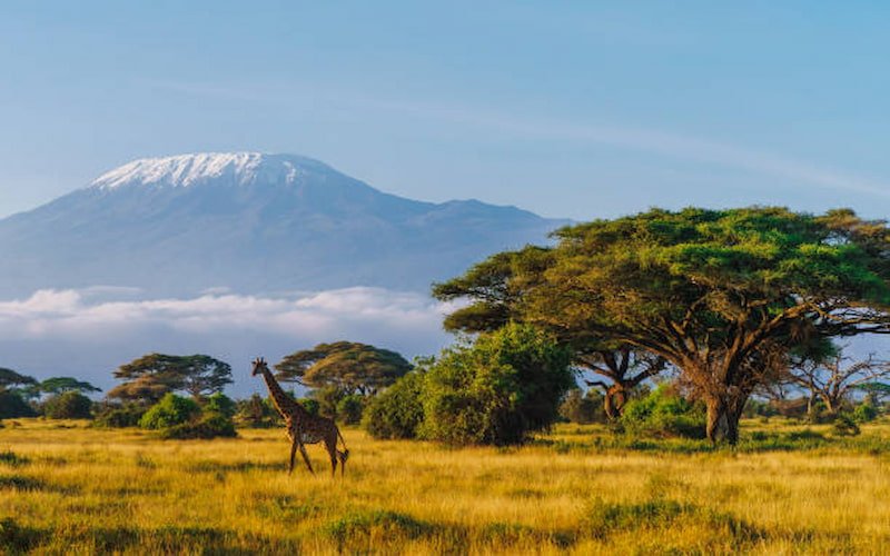 Things to Do in Tanzania