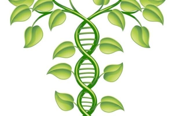 Plant Genomics Market Size