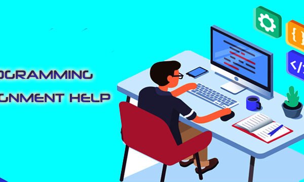 Programming Assignment Help Australia