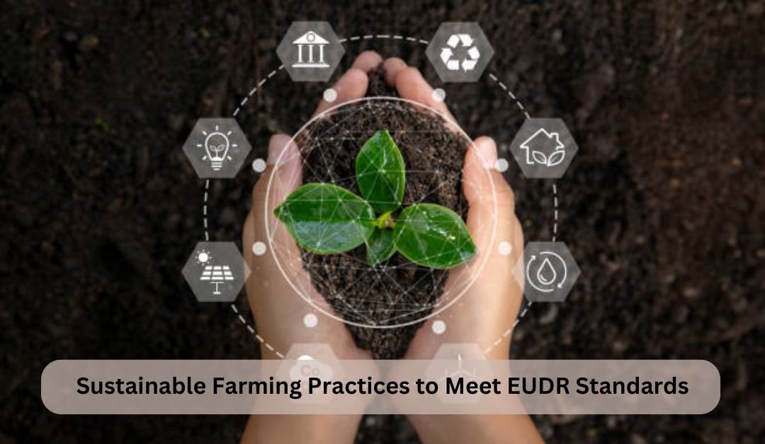 Sustainable-Farming-Practices-to-Meet-EUDR-Standards