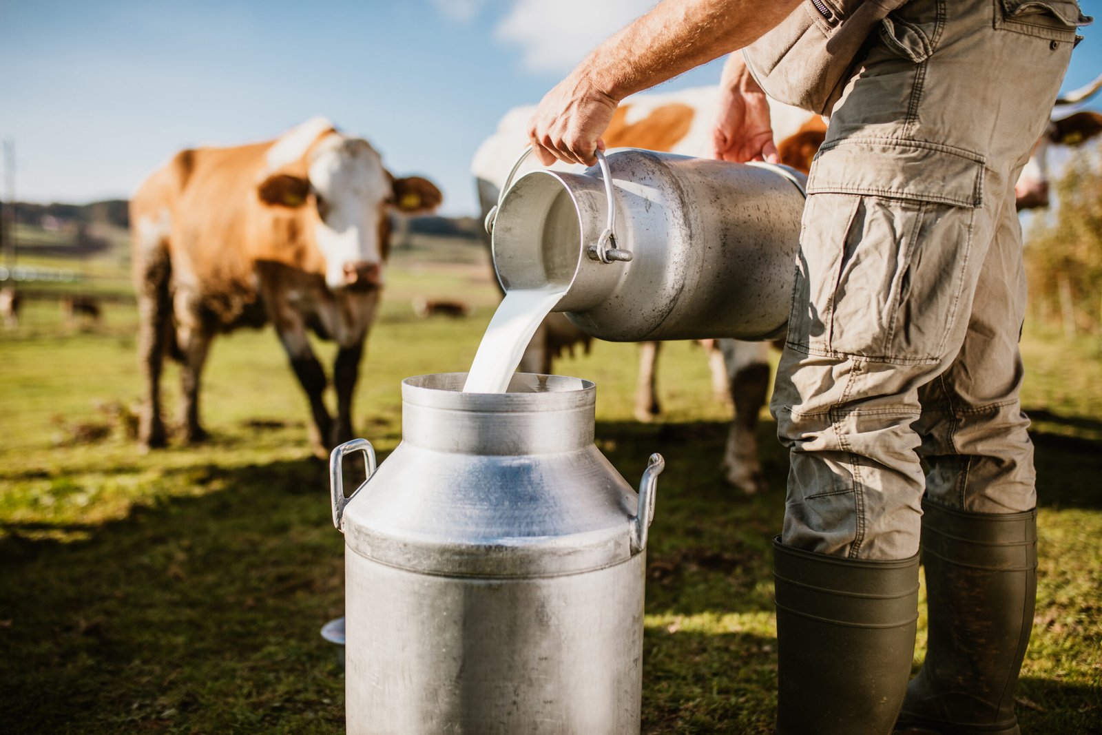 Texas Raw Milk