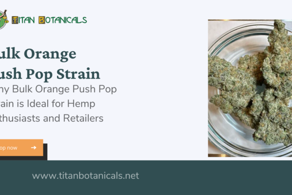 Bulk Orange Push Pop Strain