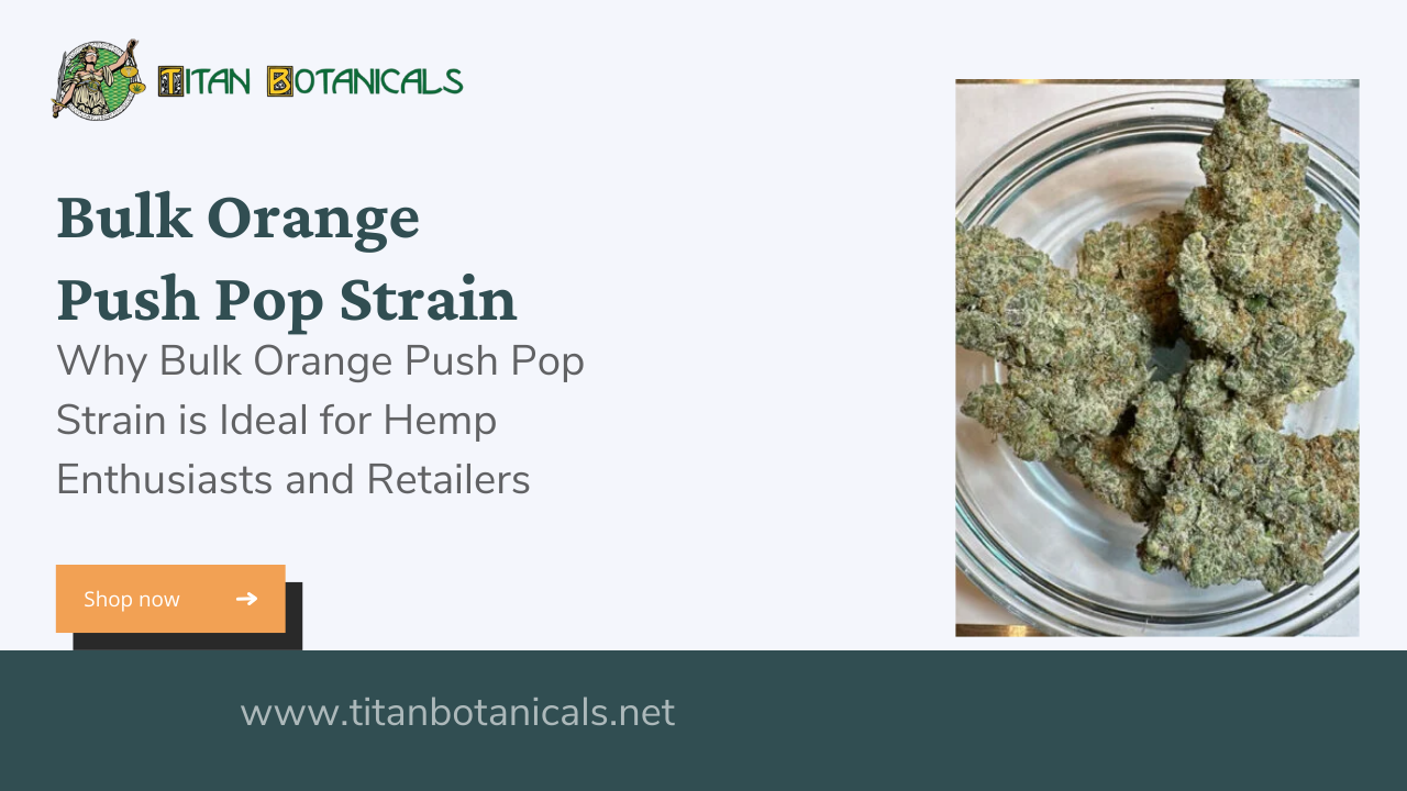 Bulk Orange Push Pop Strain