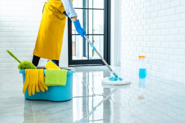 Professional Cleaning Services