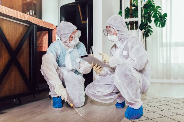 Bed Bug Extermination Services