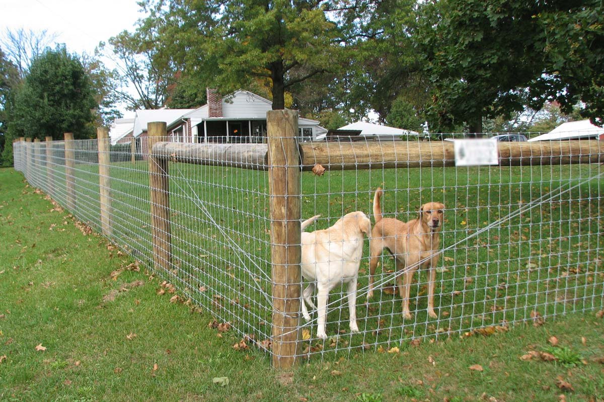 non-electric dog fence installation