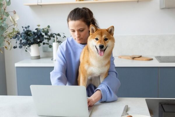 pet care seo services