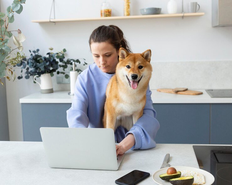 pet care seo services