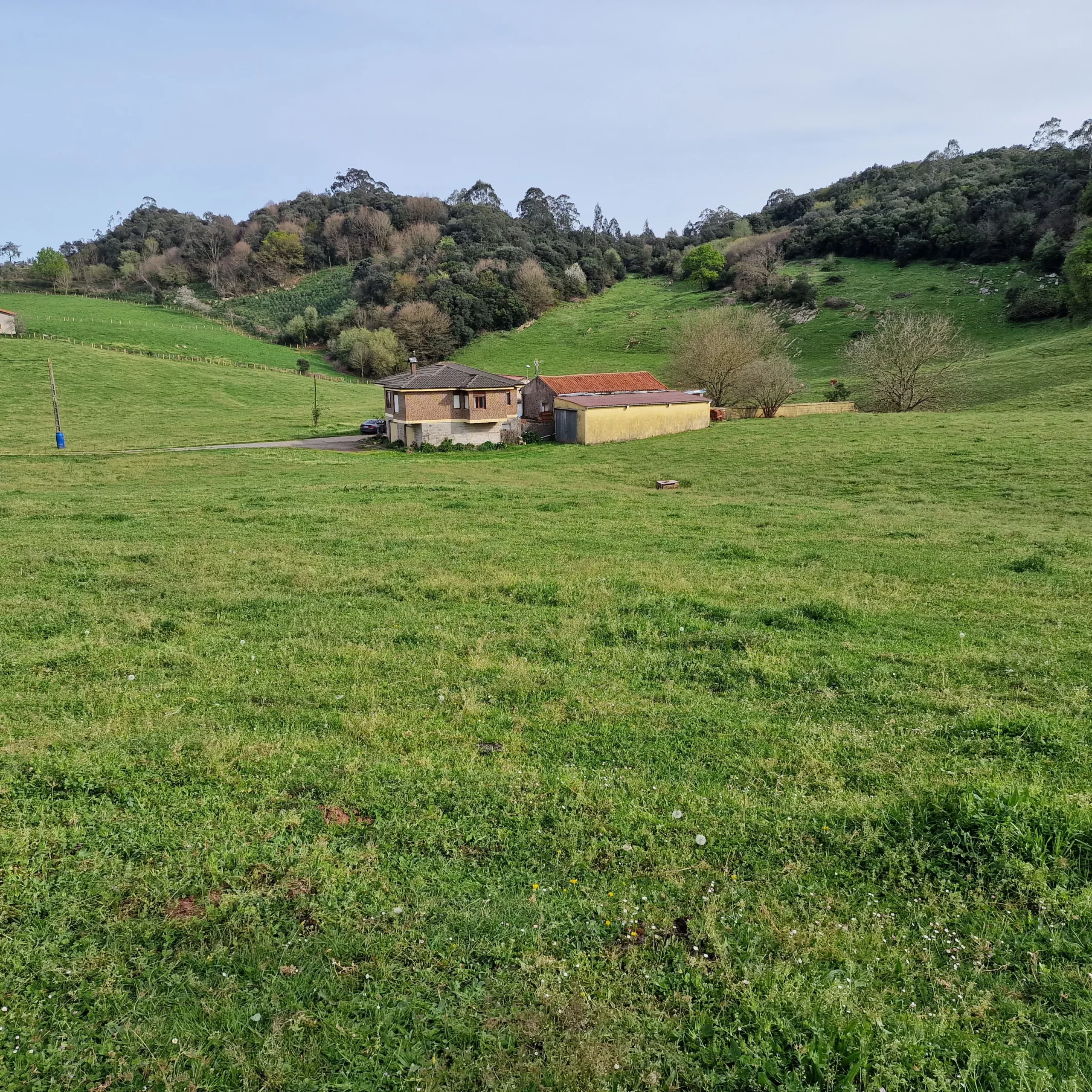 fincas agrícolas en venta