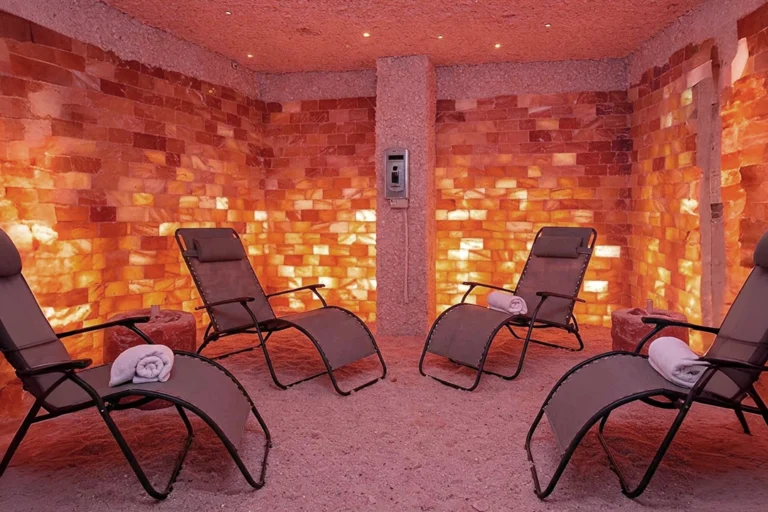 Himalayan salt bricks