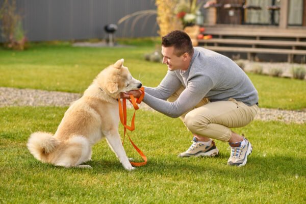 Puppy Training