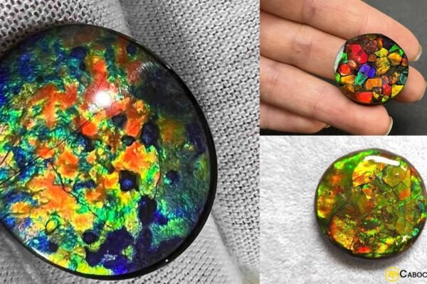 Ammolite Gemstone - GemstonesForSale